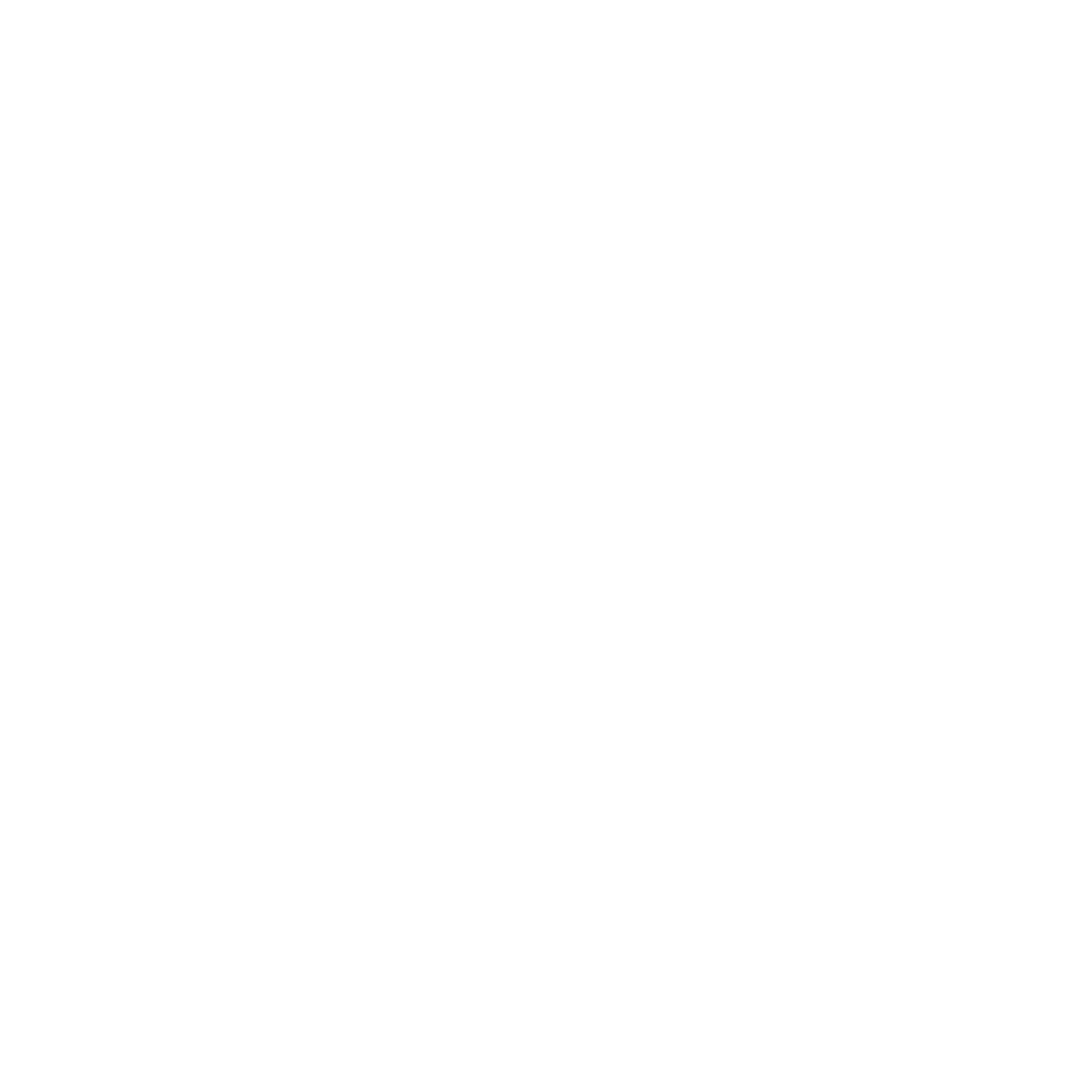 MSM-Logo-No-BG-White
